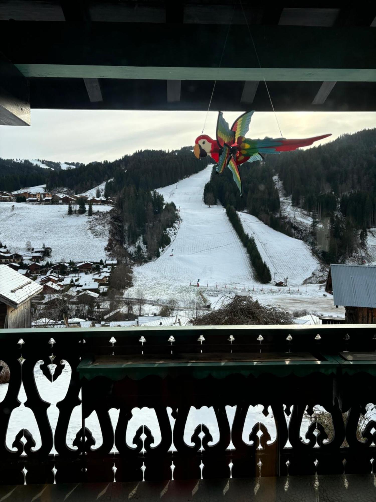 Chalet Fleur Des Alpes Les Gets Exteriér fotografie